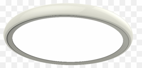 Download Hd Die Royalled Aureola Ist Eine Besonders - Circle Png,Aureola Png