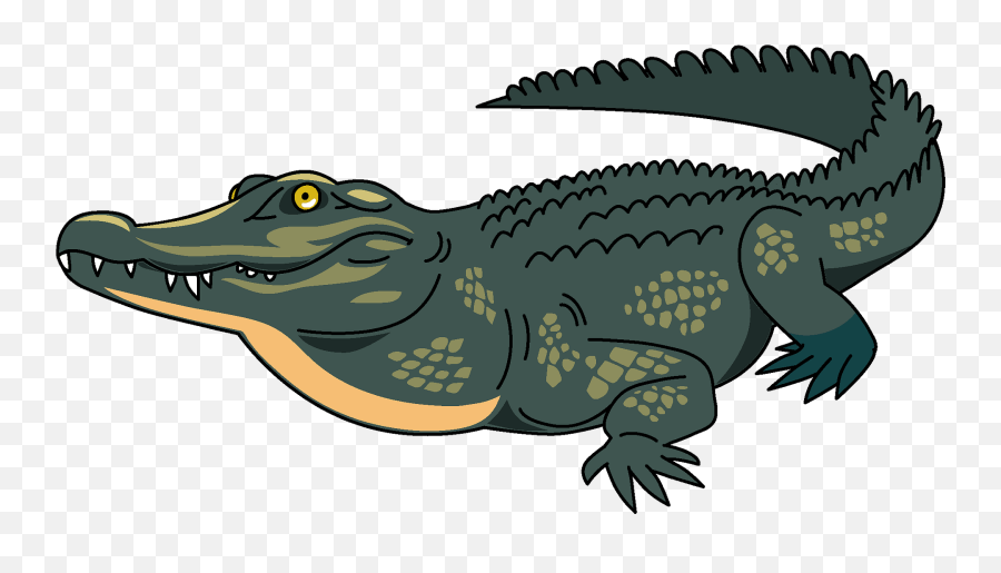 Clipart - Clipart Image Of Crocodile Png,Alligator Transparent