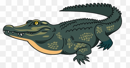 Clipart - Clipart Image Of Crocodile Png,Alligator Transparent