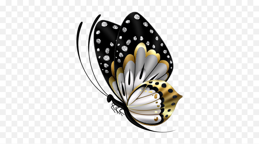 Lili - Black And Gold Butterfly Black And Gold Butterfly Png,Gold Butterfly Png