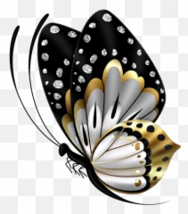 Lili - Black And Gold Butterfly Black And Gold Butterfly Png,Gold Butterfly Png