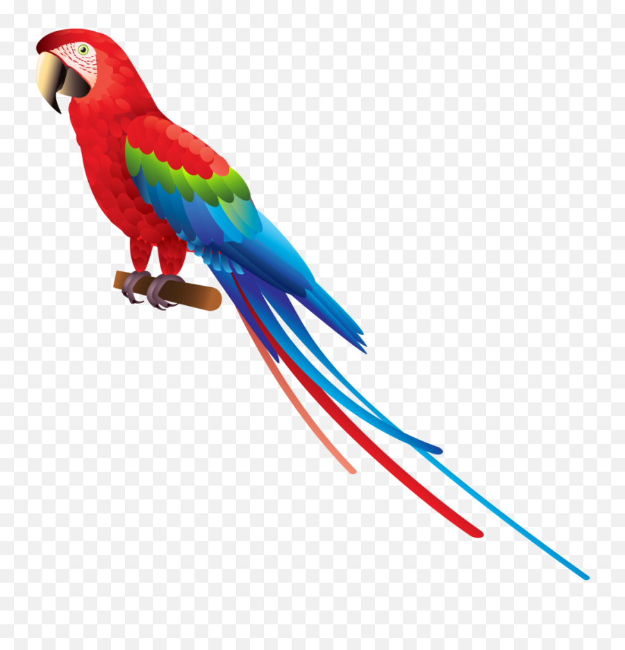 Download Parrot Png Image 362 - Free Transparent Png Images Macaw Blue And Yellow Parrot,Downloading Png