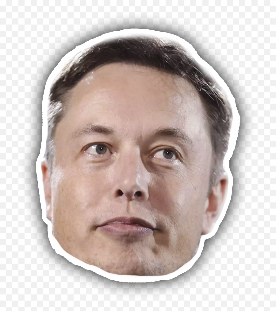 Elon Musk Tesla Motors Chief Executive Spacex Neuralink - Elon Musk Matthew Stafford Png,Facial Png