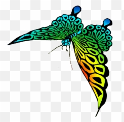 Flying Butterfly Png Image With Transparent Background - Rainbow Wings