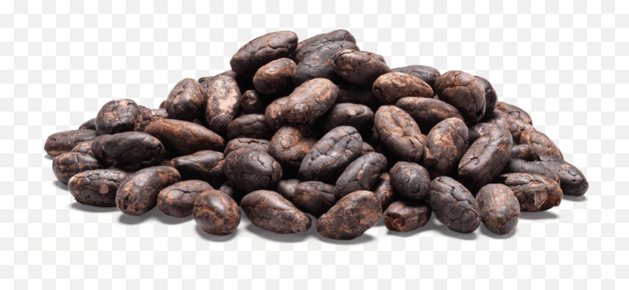 Cocoa Beans Png 3 Image - Cocoa Beans Png,Beans Png