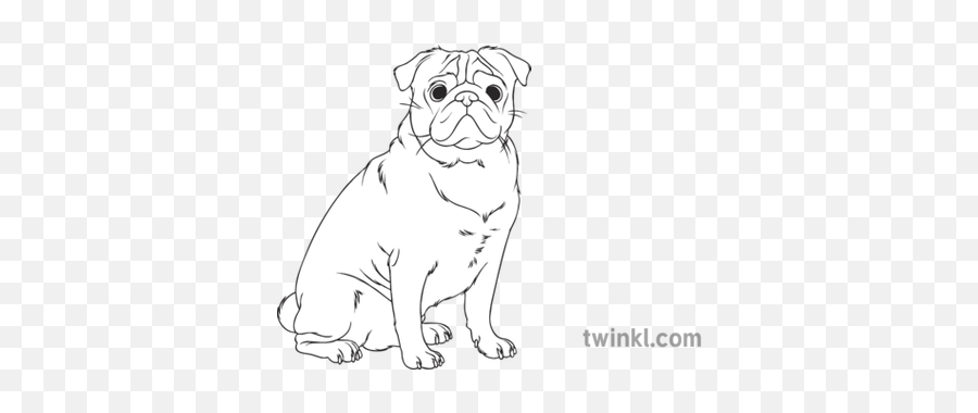 Selective Breeding Pug Black And White Illustration - Twinkl Map Of Africa Black And White Png,Pug Transparent