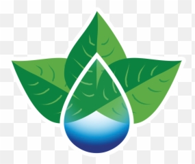 Download Hd Leaf Drop Icon - Vertical png