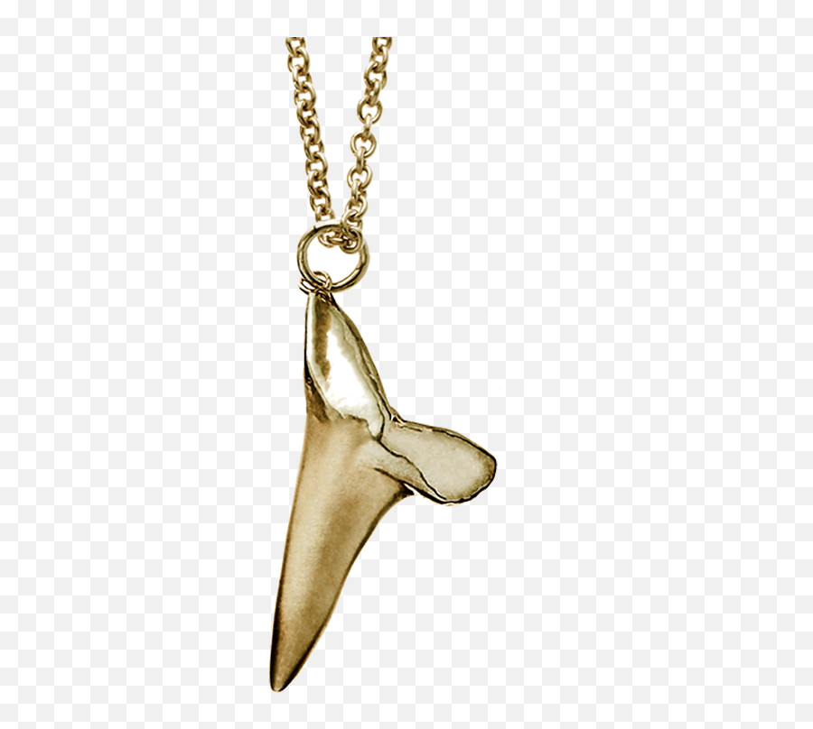 Free Rapper Gold Chain Png - Shark Tooth Necklace Png Full Transparent Shark Necklace,Gold Chain Png