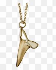 Free Rapper Gold Chain Png - Shark Tooth Necklace Png Full Transparent Shark Necklace,Gold Chain Png