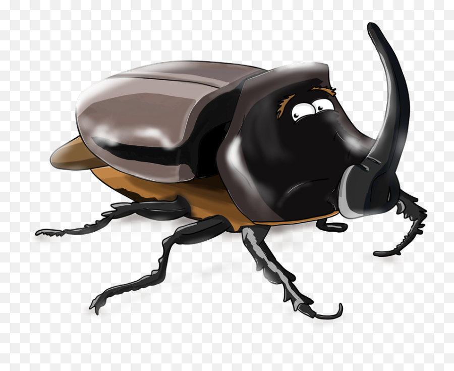 Rhinoceros Beetle Icon Png Transparent - Beetle Rhino Cartoon,Beetle Icon