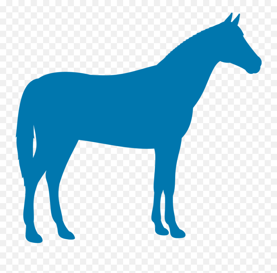Horseicon - Kindredbio Equine Farm Animal Silouette Png,Unicorn Icon For Facebook