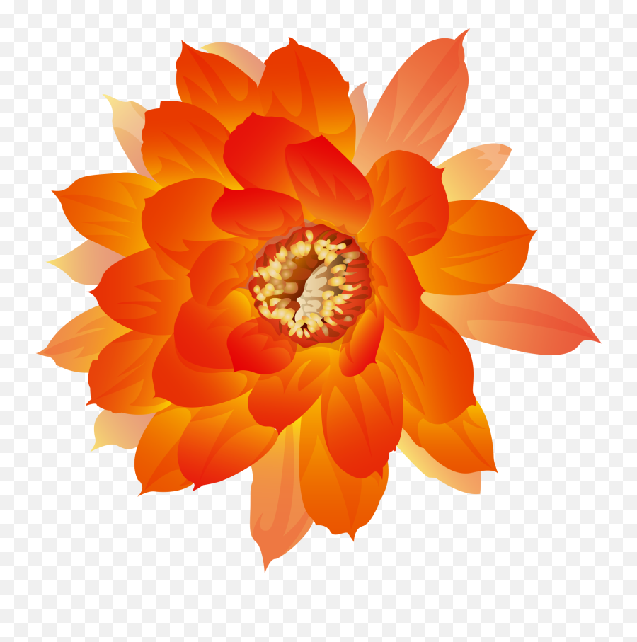 Orange Flowers Bloom Png Download - Orange Watercolor Flowers Png,Orange Flowers Png