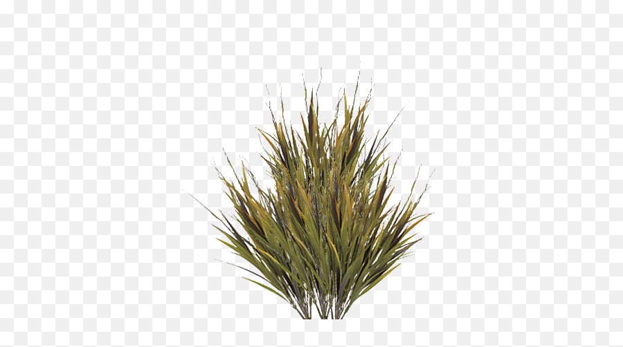 Picture - Grass Png,Grass Texture Png