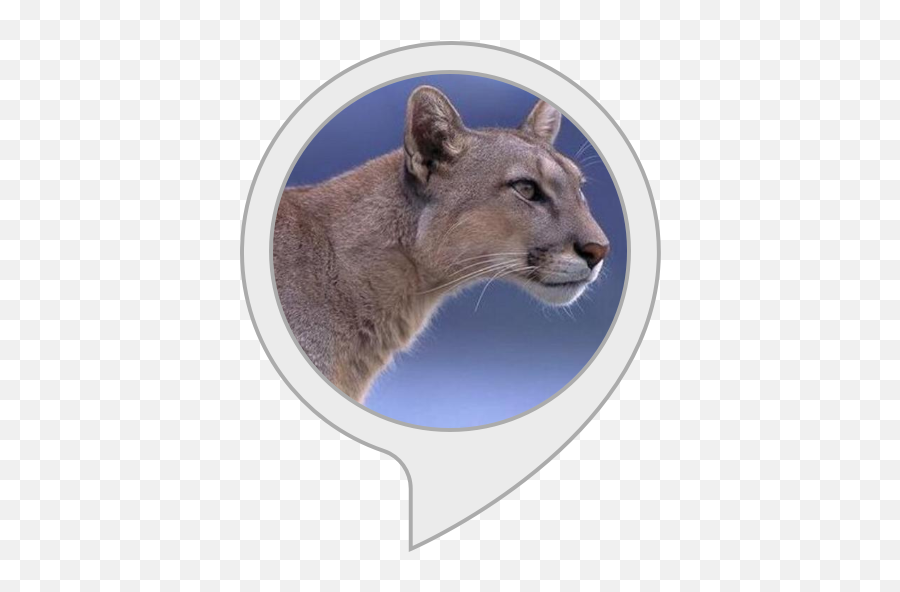 Amazoncom Puma Update Alexa Skills - Puma Cat Side View Png,Cougar Icon