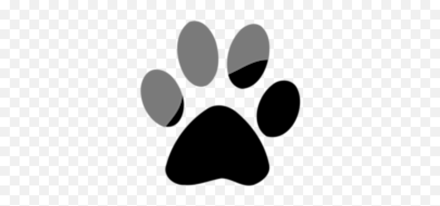 Free Download Windows 10 Login Background Changer - Transparent Background Cat Paw Icon Png,Windows Login Icon