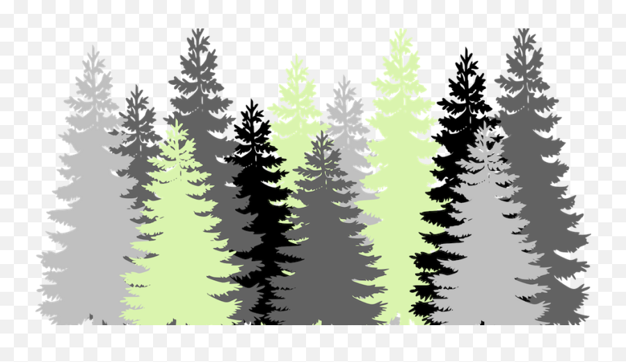 Widespread Deforestation Threatens To Leave North Korea - Pine Trees Silhouette Transparent Background Png,Kim Pine Icon