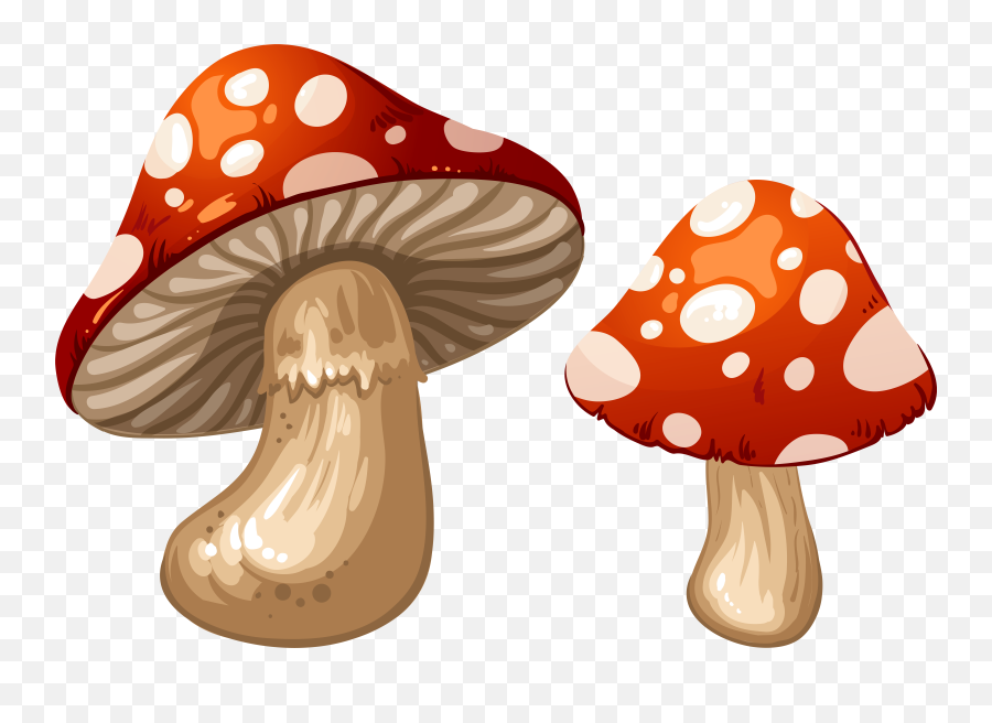 Mushroom Clipart Png - Mushrooms Clipart Png,Mushroom Png