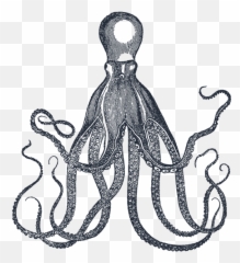 Octopus Images Art Tentacles - Dan Hillier png