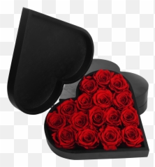Rose Heart - Garden Roses Png,Rose Heart Png