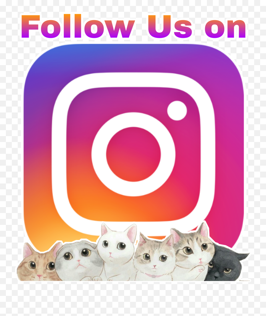 Logo Instagram Follow Logoinstagram - Cat Wallpaper Png,Small Instagram Logo
