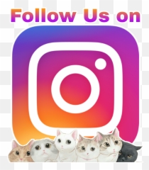 Logo Instagram Follow Logoinstagram - Cat Wallpaper Png