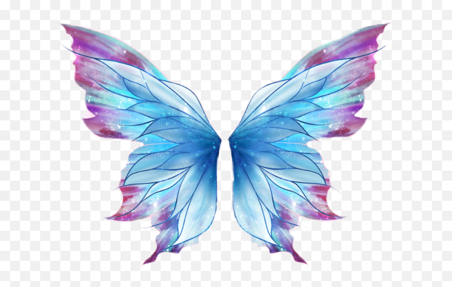 Download Report Abuse - Transparent Fairy Wings Png,Butterfly Wings Png