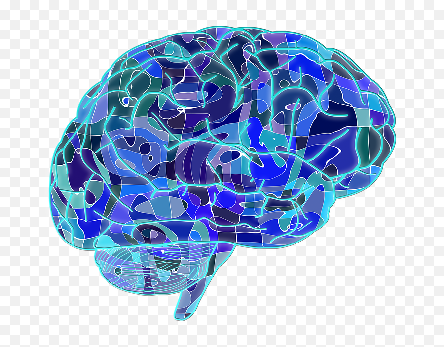 Is The Brain Like A Computer Descriptive And Scientific - Subconscious Mind Png,Brain Transparent Image