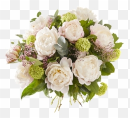 Everything You Want To Know About The Peony Fleurop - Garden Roses Png,Peonies Png