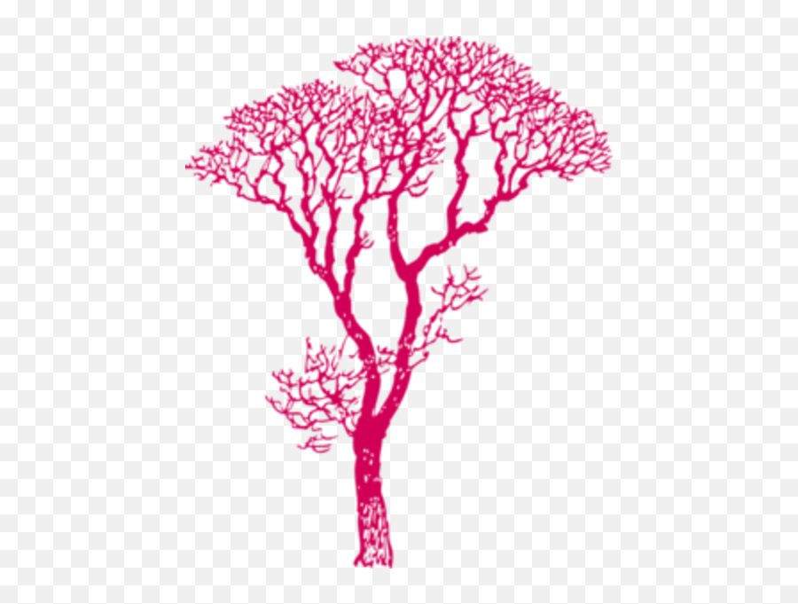 Nature Tree African Dk Pink - Dad To Daughter Gifts Png,African Tree Png