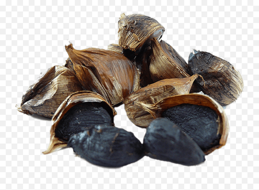 Black Garlic Transparent Png - Stickpng Black Garlic Free Download,Garlic Transparent Background