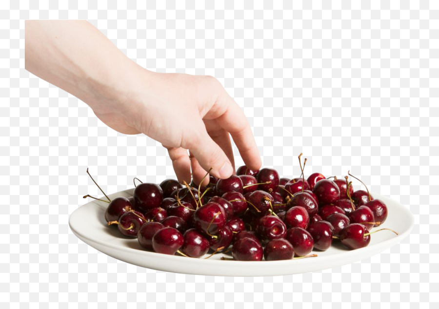 Fresh Cherries Transparent Background - Cherry Png,Cherry Transparent Background