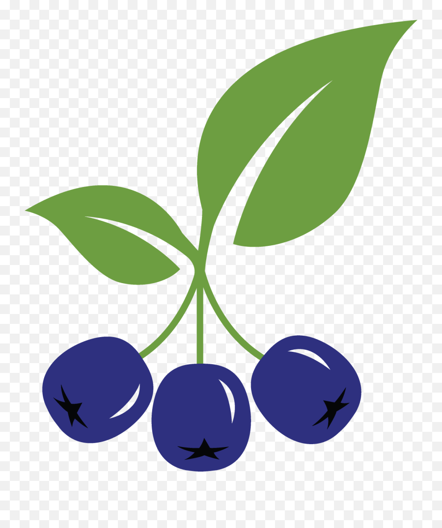 Aronia Growers Llc - Growers And Farmers Of Aronia Berries Fresh Png,Superfruit Logo