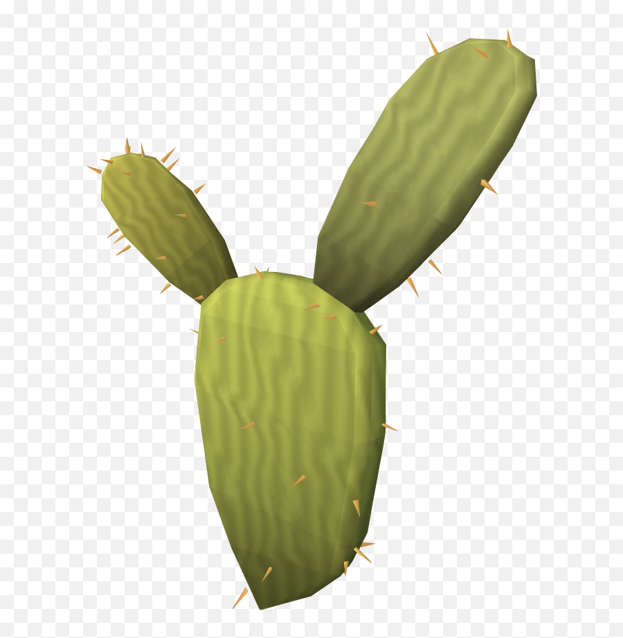 Kharidian Cactus - The Runescape Wiki Runescape Cactus Png,Cacti Png