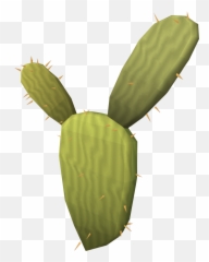 Kharidian Cactus - The Runescape Wiki Runescape Cactus Png,Cacti Png