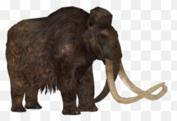 Tycoon Png And Vectors For Free Download - Dlpngcom Mammuthus Primigenius Woolly Mammoth,Zoo Tycoon 2 Icon