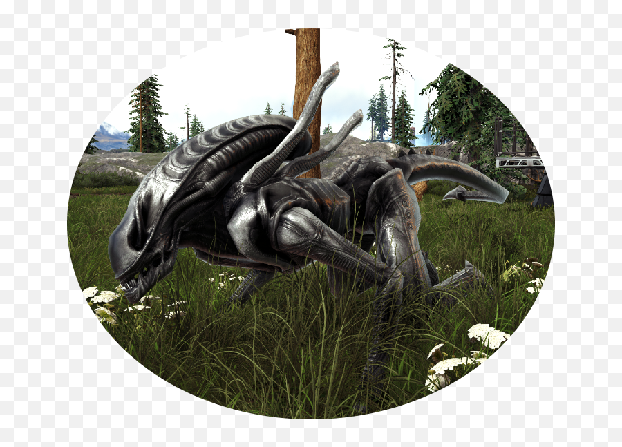 Sardonyx - Ark Official Community Forums Flightless Bird Png,Ark Red Skull Icon