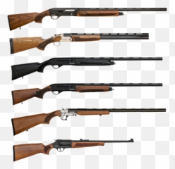 Shotgun Sample Sale - png