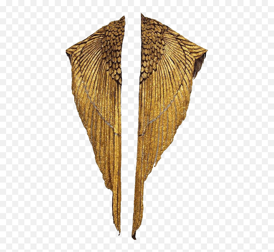 Gold Wings Shawl Pngs Png Cute Trendy - Golden Cape,Gold Wings Png