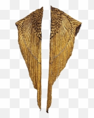 Gold Wings Shawl Pngs Png Cute Trendy - Golden Cape,Gold Wings Png