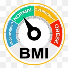 Easy Bmi Calculator - Weight Fitness Calculation APK 10 Vertical png