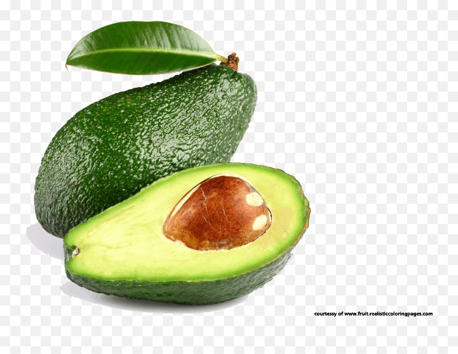 Library Of Avocado Tree Banner Free - Transparent Background Avocado Png,Guacamole Png