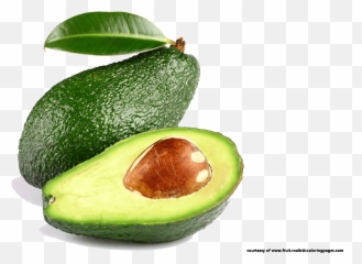 Library Of Avocado Tree Banner Free - Transparent Background Avocado Png,Guacamole Png