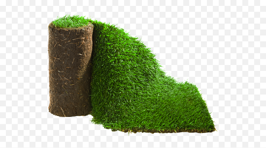 Moss Transparent Png Image - Rolled Grass Png,Moss Png