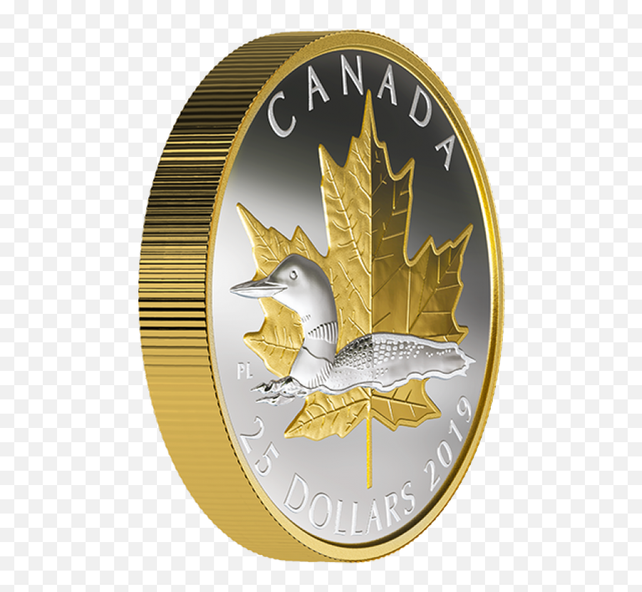 2019 Canadian 25 Timeless Icons Loon - 1 Oz Fine Silver Canadian Piedfort Gold Coin Png,Loon Icon