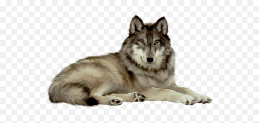 Transparent Wolf Clipart - Wolf Png,Wolf Transparent