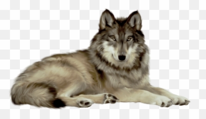 Wolf Cartoon png download - 600*534 - Free Transparent Gray Wolf