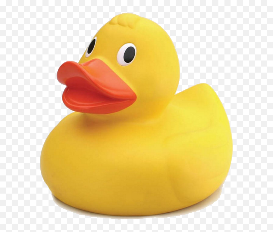 Png Transparent Images Free Download - Transparent Background Rubber Duck Png,Toy Png