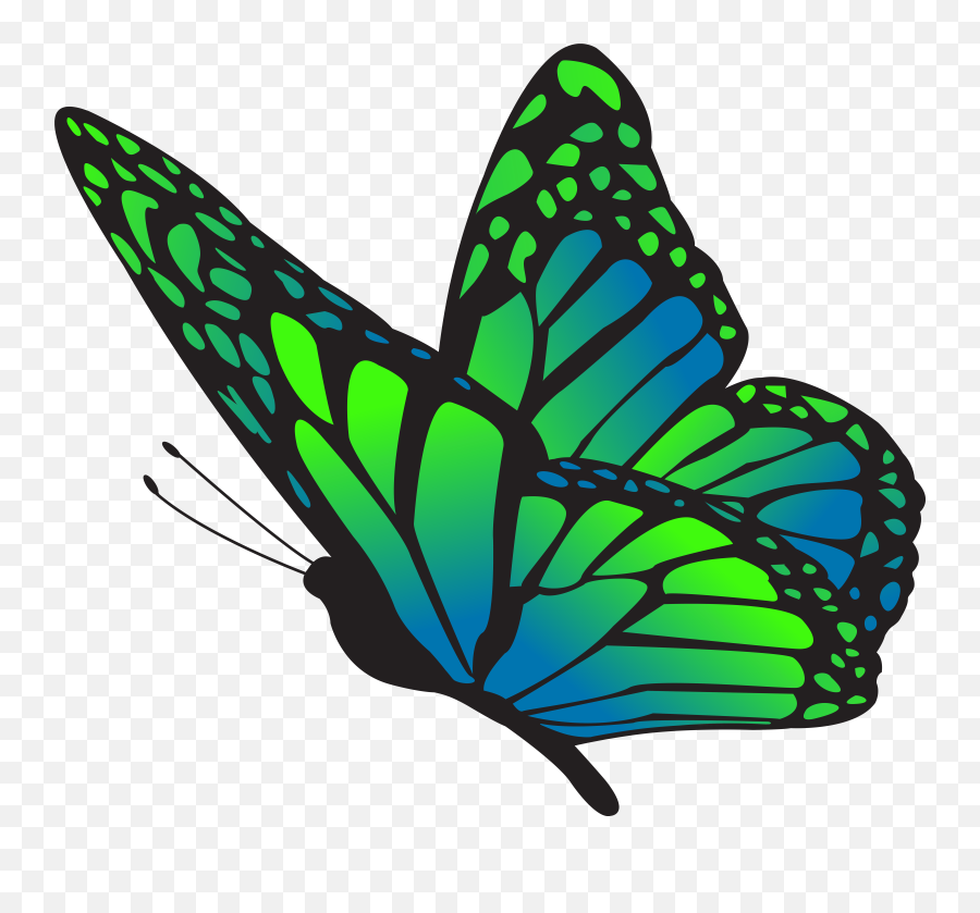 Clipart Gallery Butterfly Png Blue