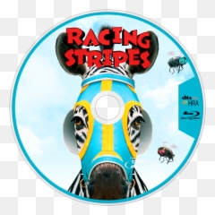 Download Racing Stripes Bluray Disc Image - Full Size Png Racing Stripes Full Movie,Racing Stripes Png