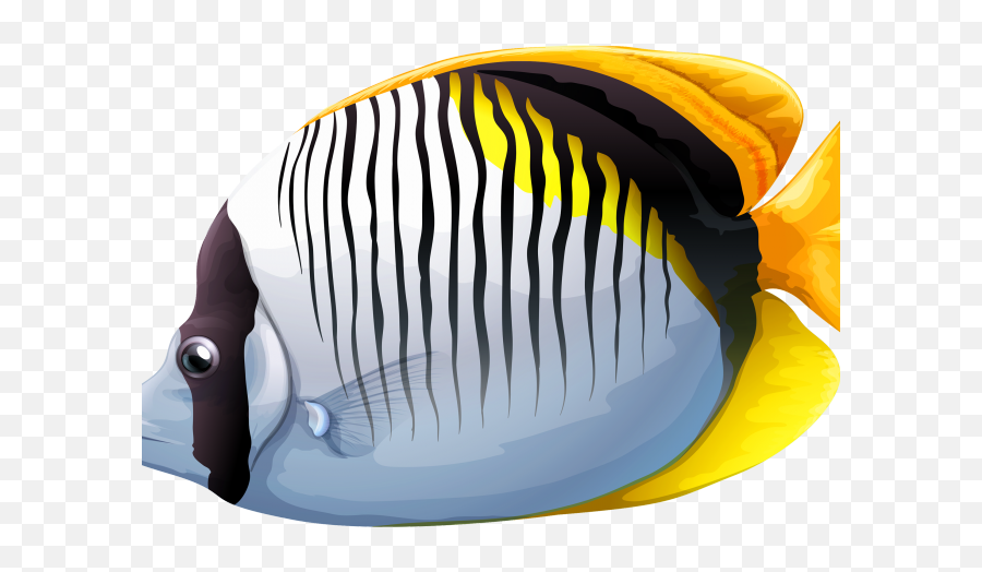 Butterflyfish Clipart Fish Tank - Png Download Full Size Tropical Fish Fish Transparent Background,Fish Tank Png